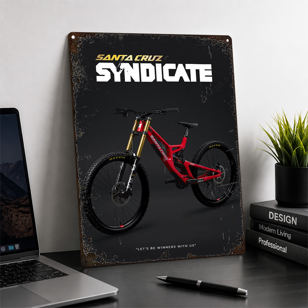 Santa Cruz V10 Downhill Bike A - огляд і ціна Home Gym Custom