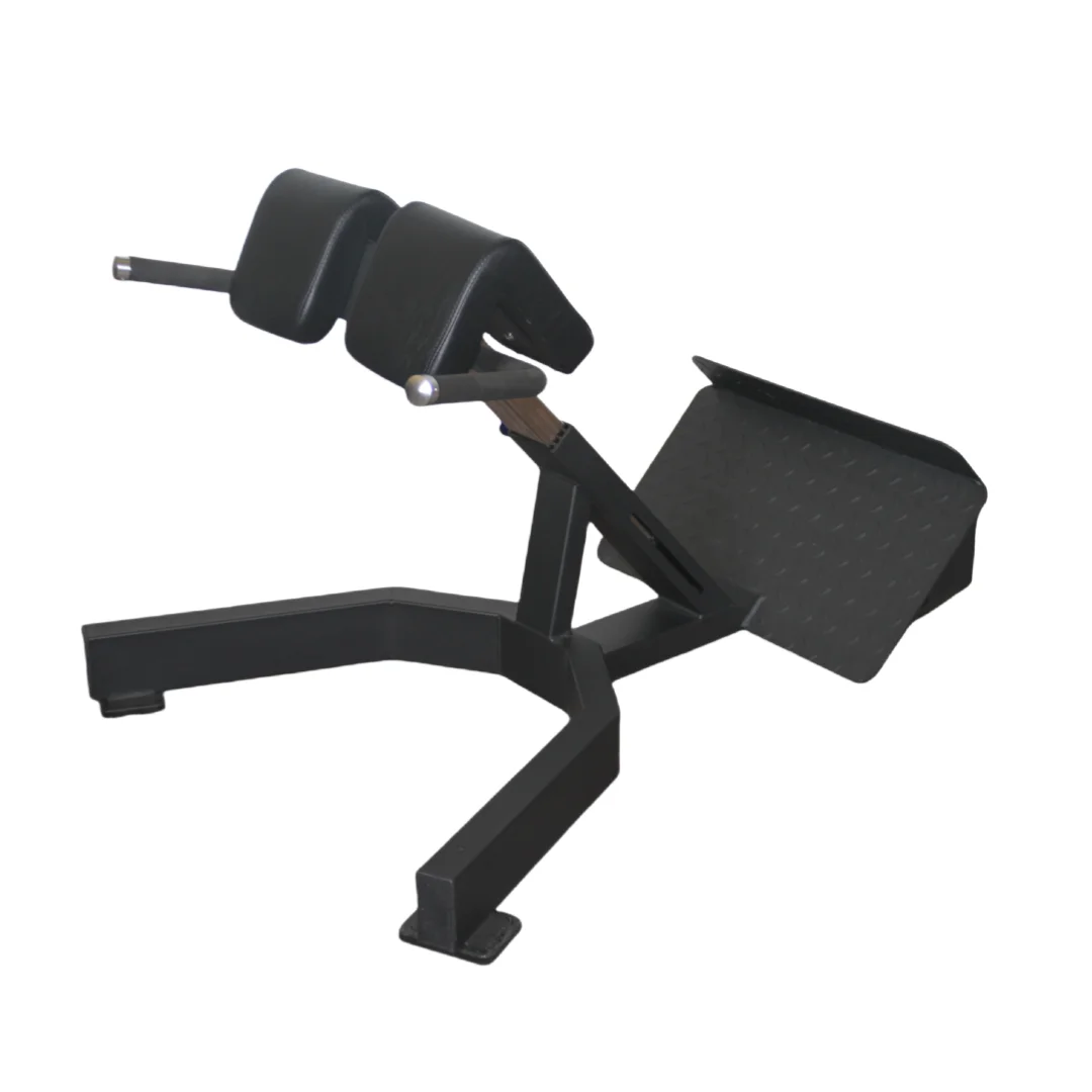 Factory Price Roman Chair Back - огляд і ціна Home Gym Leg Extension